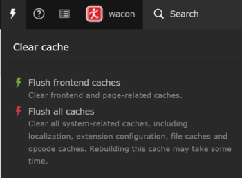TYPO3 Cache löschen