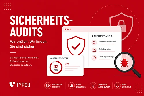 Schaubild zum Thema Sicherheitsaudits von WACON