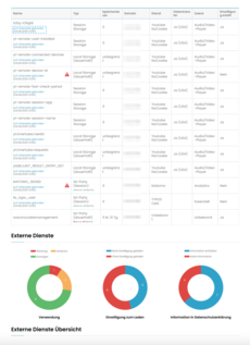 Screenshot aus  PDF-Datenschutzaudit Seite 3