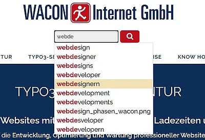 Mehr Website-Komfort mit SOLR